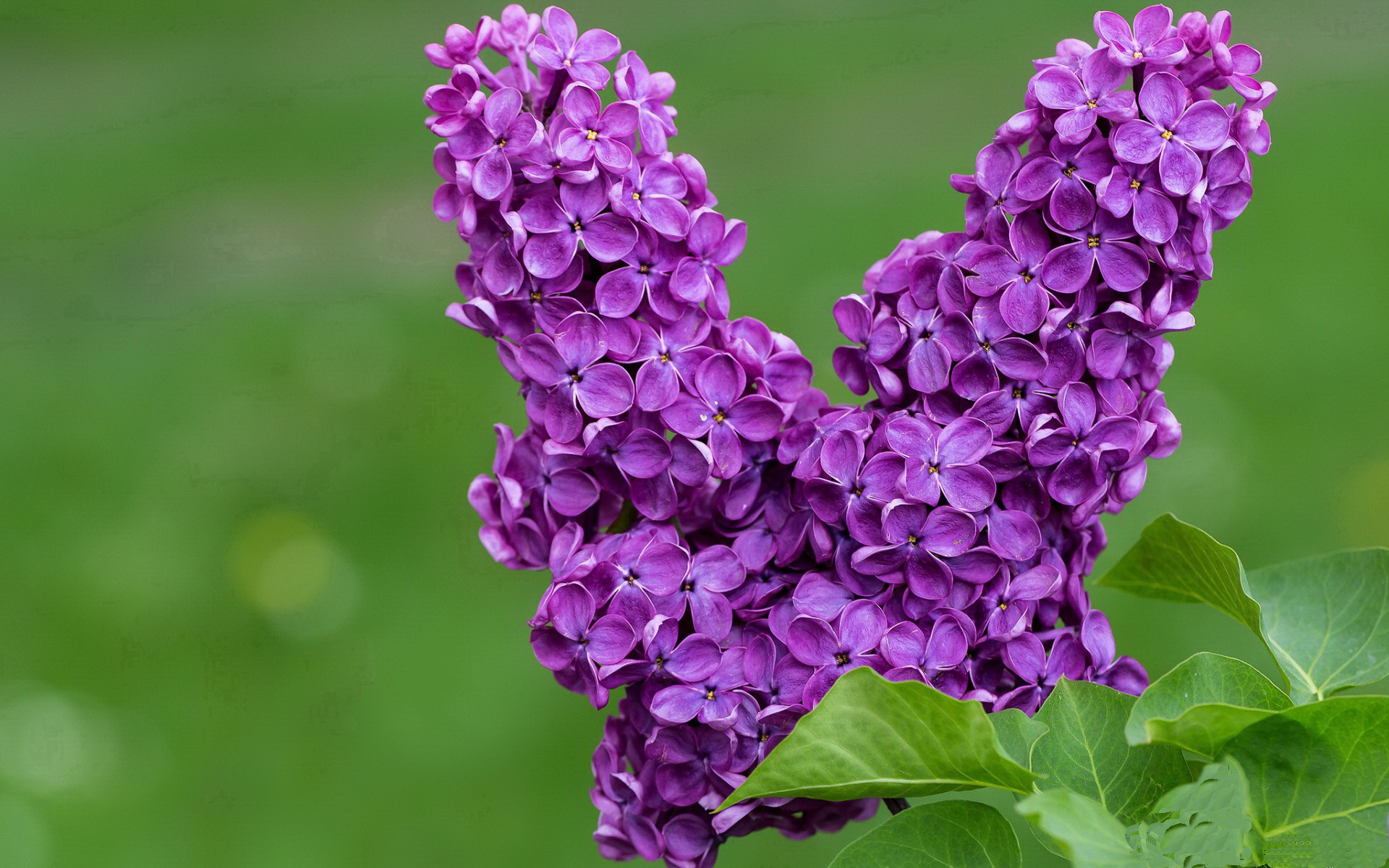 爱游戏app-“强强对话！联盟顶尖豪强交锋，悬念重重促发火花”