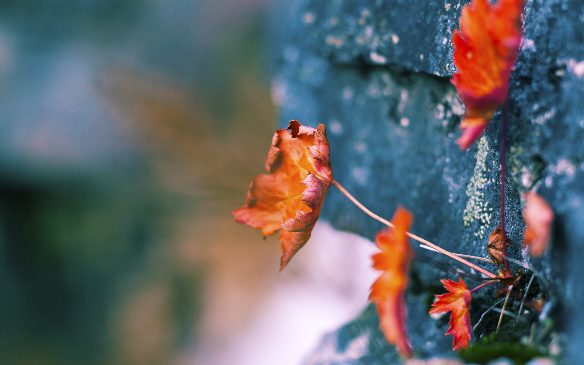 《创意合作:电竞与音乐、影视跨界融合》,电竞音乐最震撼