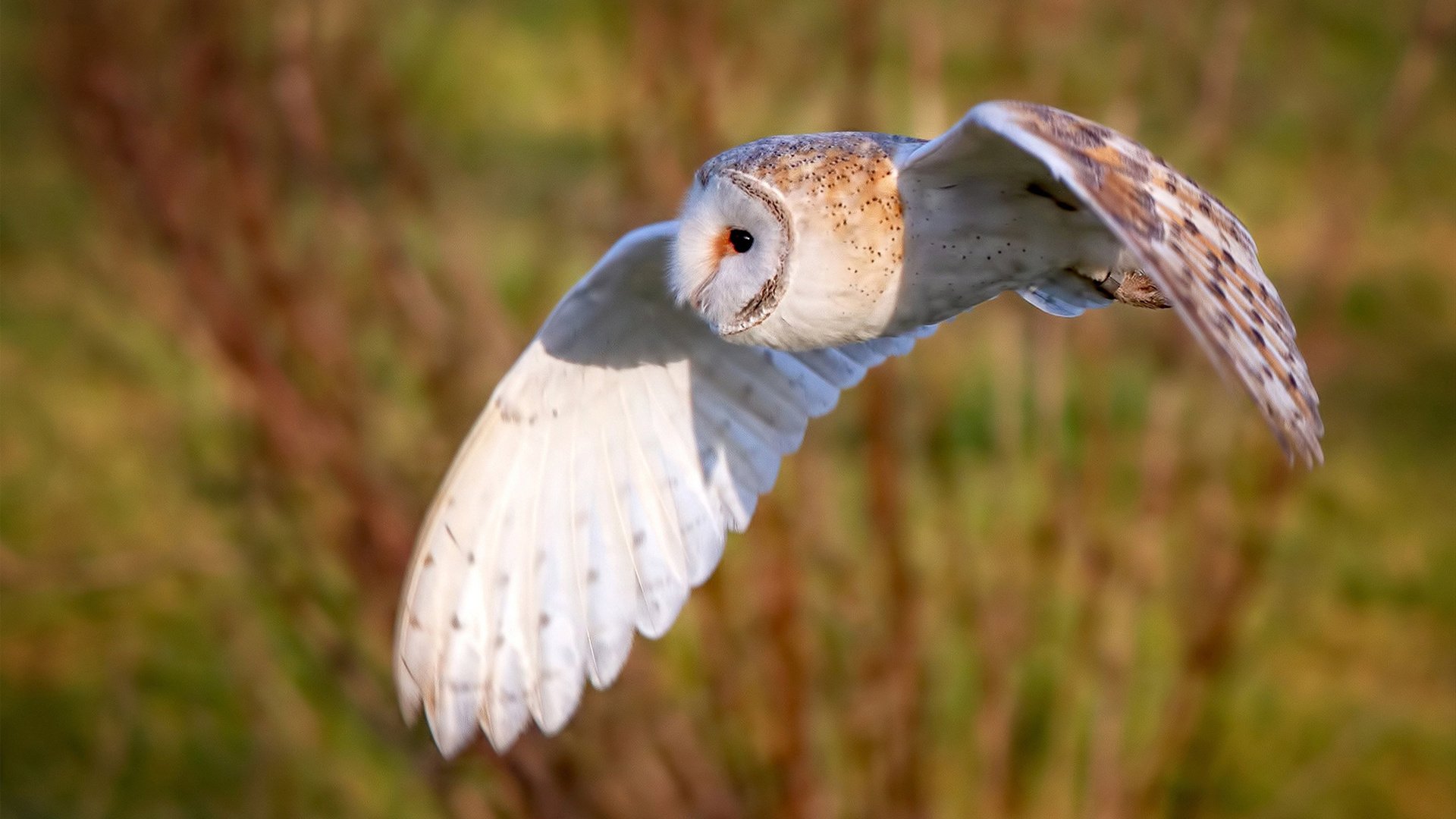 AYX体育-中国足球市场深度融合多行业，开启新产业链，中国足球产业发展现状