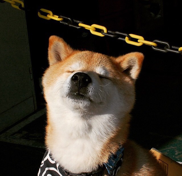 乡村骑行寻宝赛，绿色生态与趣味结合，乡村骑自行车图片大全