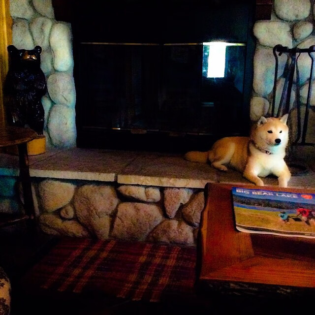 全国青少年“绿色公益球场”项目在青岛全面落实,推动绿色环保发展