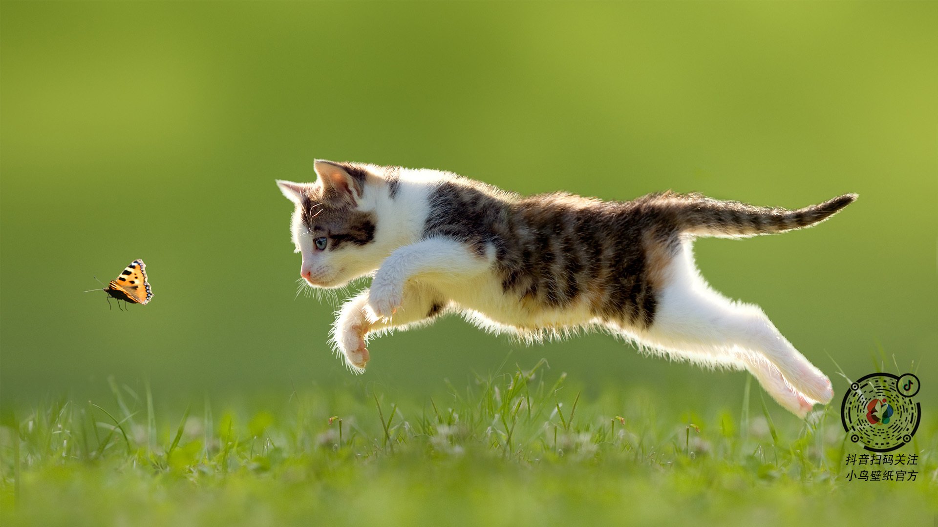 爱游戏-史上最“燃”比赛瞬间：镜头捕捉每个令人激情澎湃的时刻