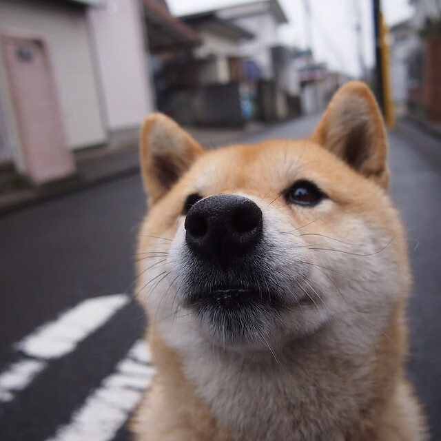 广场舞推动体育产业多元化发展，舞蹈体育广场舞