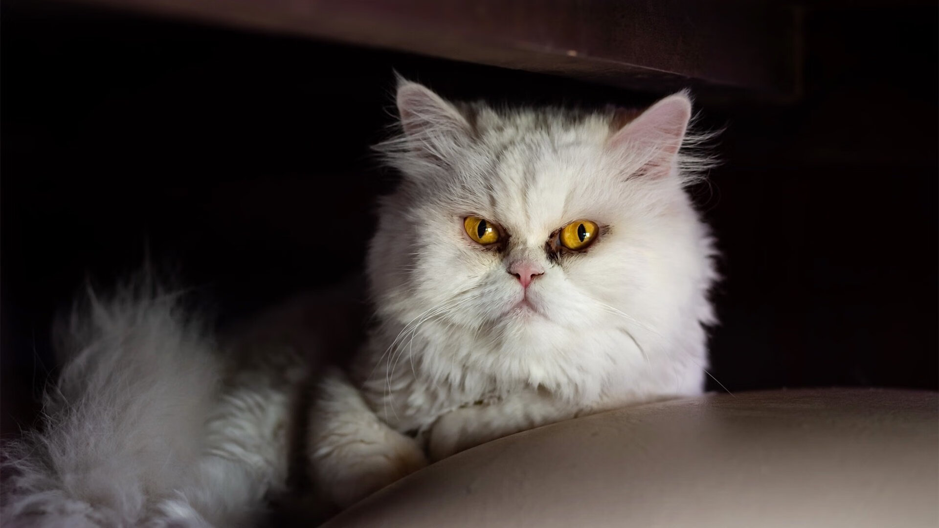 爱游戏中国官方网站平台-惊天逆转：某场比赛下半场惊天逆转！，惊天逆转足球