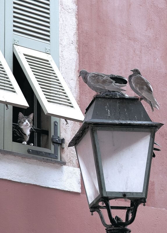 未来五年的技术路线图,未来五年的趋势让所有人胆战心惊