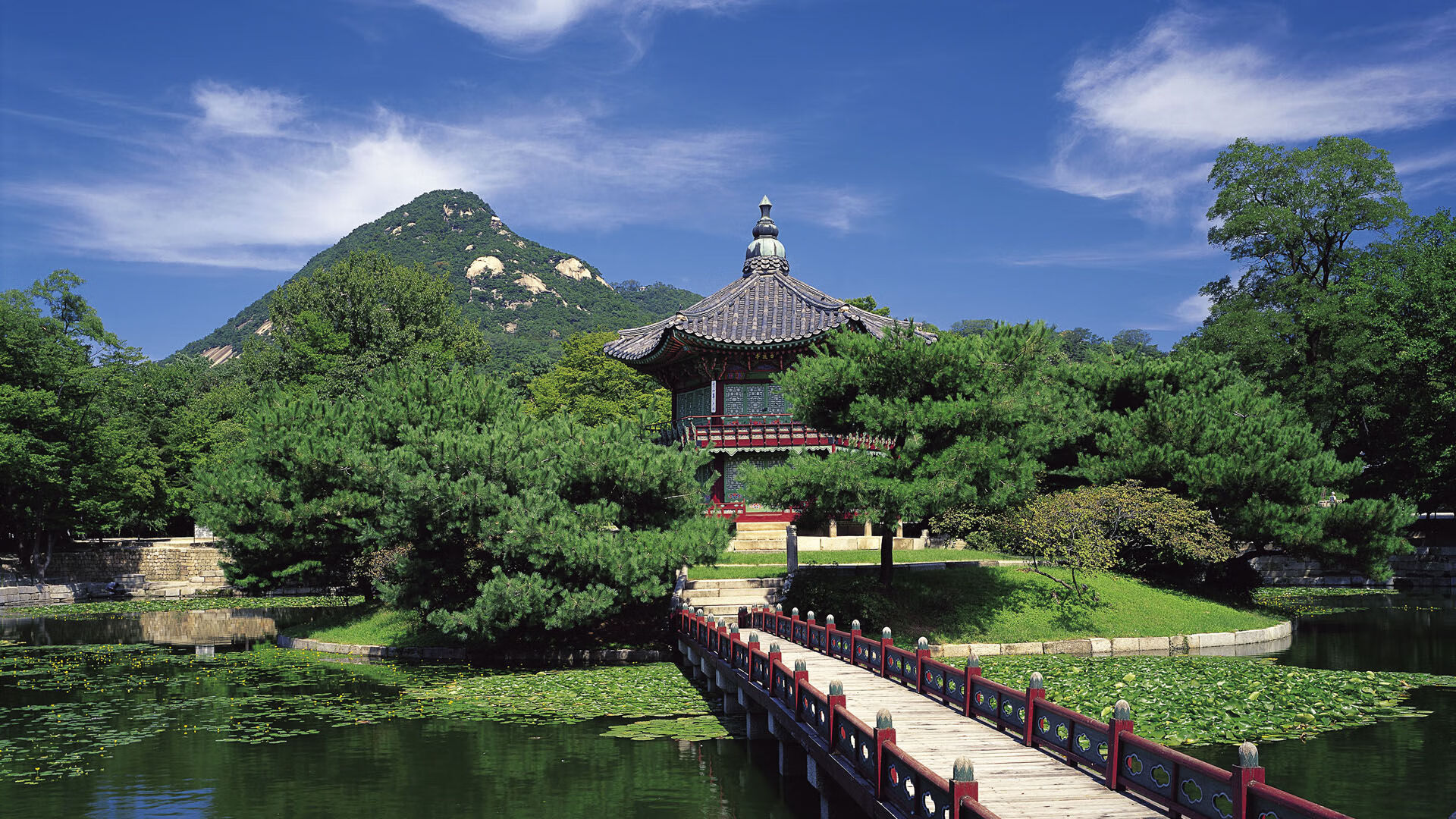 极端打击:车手在险峻赛段的惊险逃脱瞬间,极端行动的意思