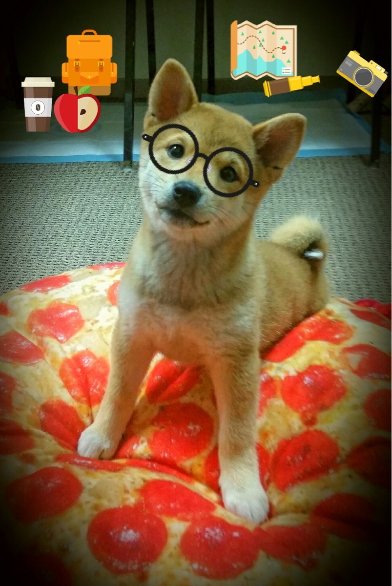 爱游戏中国官方登录入口网站-LCS季后赛竞争白热化，lcs季后赛对阵图