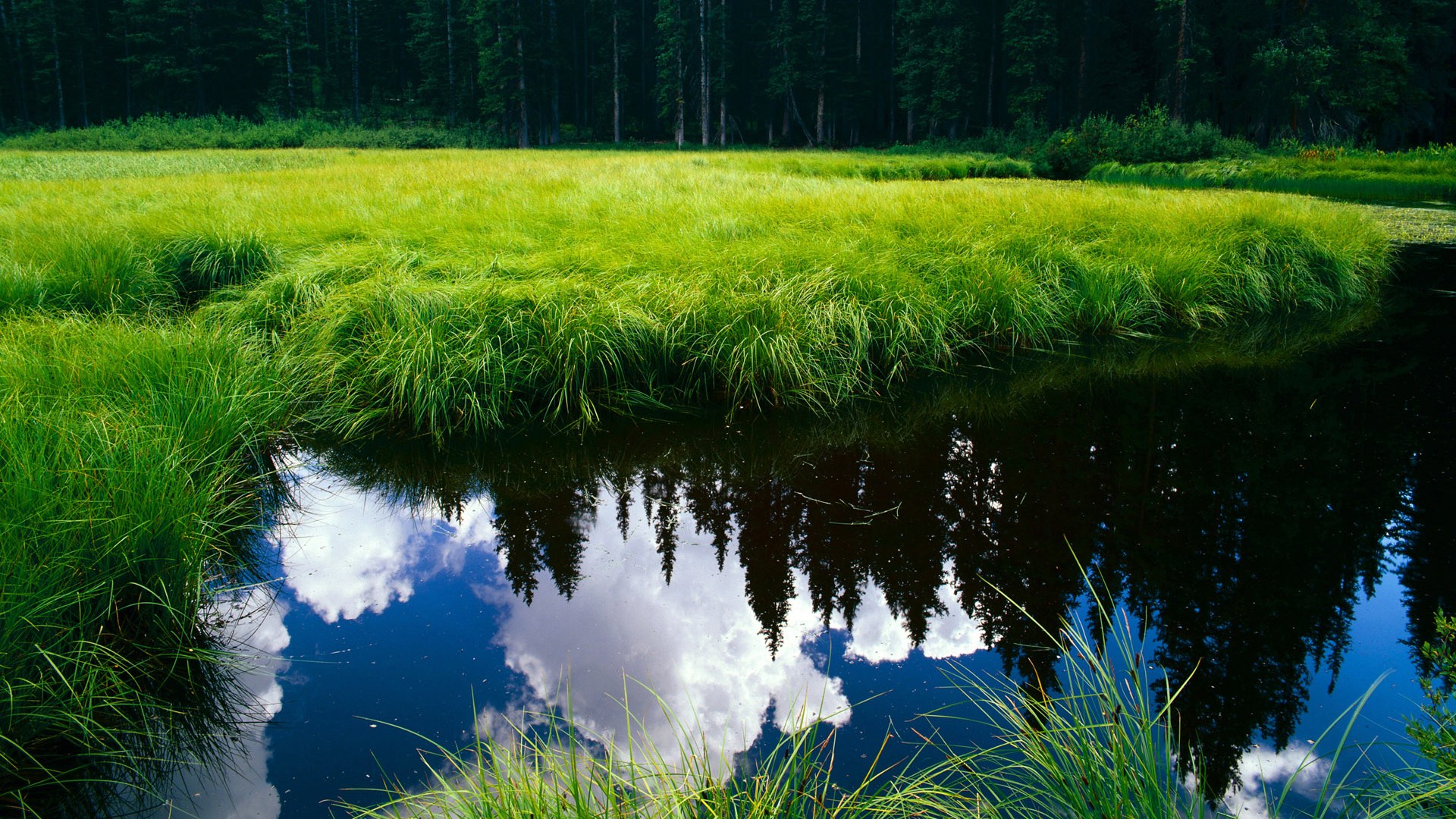爱游戏体育官方网站-塞维利亚客场胜出，继续保持追赶态势，塞维利亚比赛今天比赛
