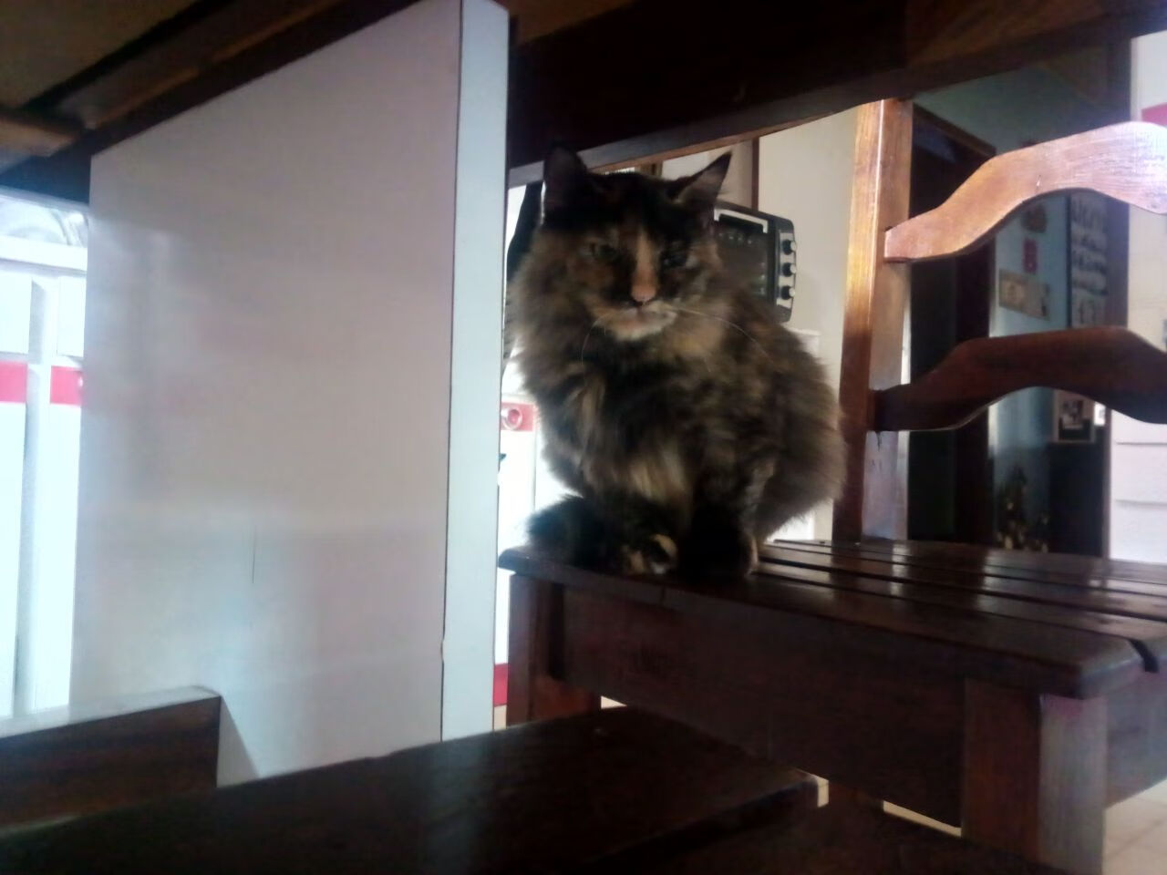 曼城胜利之路再添一战，球员们兴奋不已，曼城连胜纪录