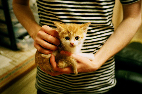 球员动态不断，各支球队备战状态火热，球队阵容发布