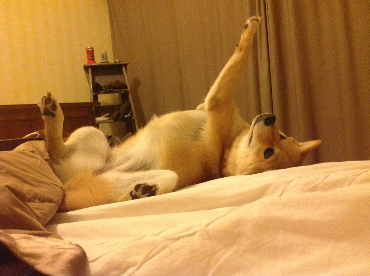 爱游戏娱乐网址-芬兰队在比赛场上斩获关键胜利，晋级成功，芬兰已组联赛