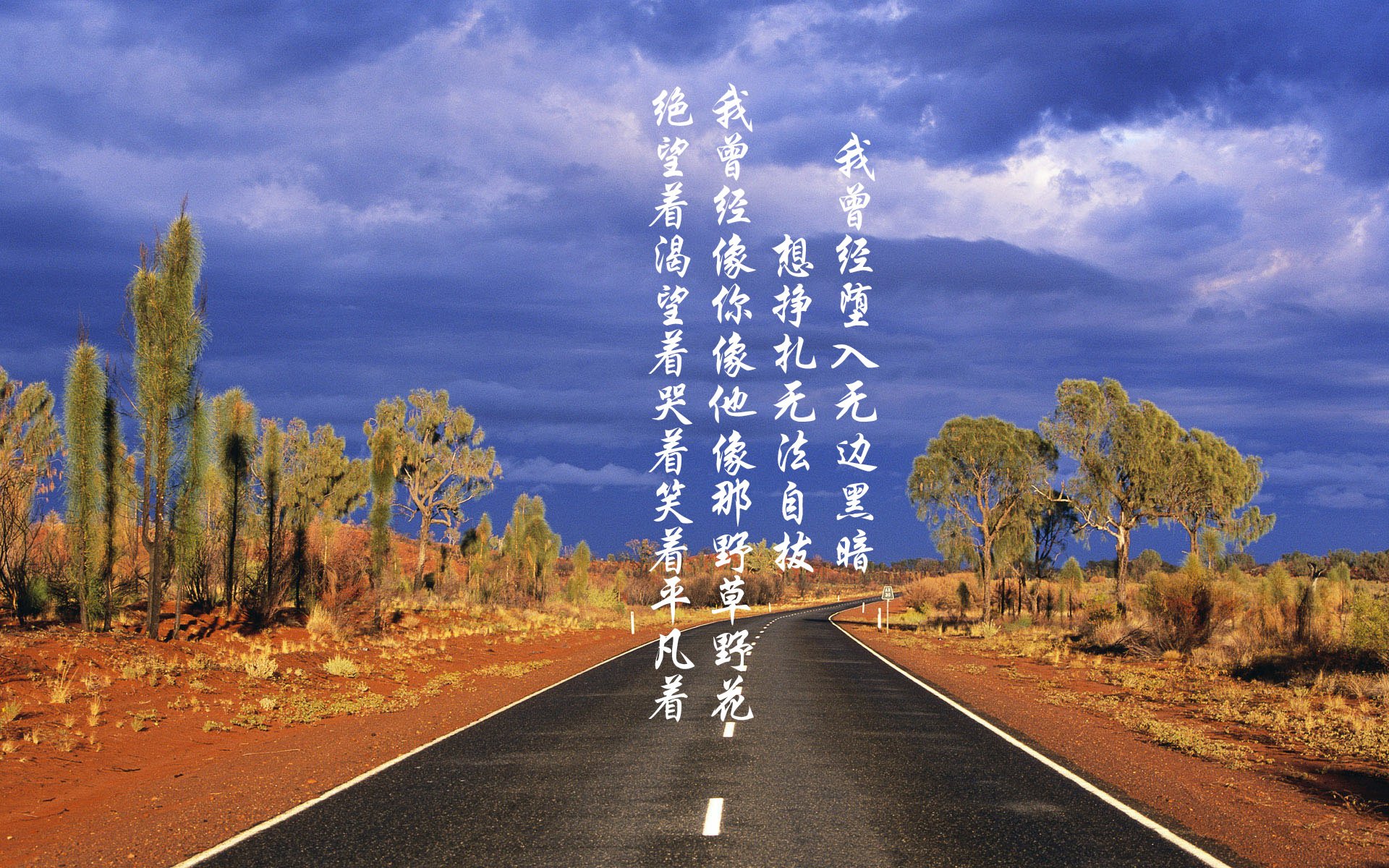 里尔再胜里昂,近期表现持续火爆,里尔对里昂的比赛分析