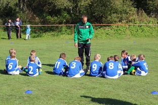 爱游戏 电竞-中国篮球教练员团队协作能力培养与管理实践，篮球教练员在团队中扮演了哪些角色