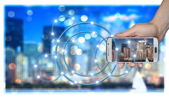 爱游戏电竞官网-高校运动训练科学化管理策略研究，高校运动训练科学化管理策略研究论文