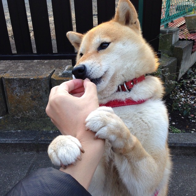 高校运动训练科学化管理策略研究，高校运动训练科学化管理策略研究论文