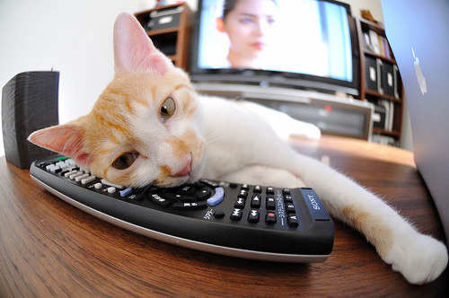 高校运动训练科学化管理策略研究，高校运动训练科学化管理策略研究论文