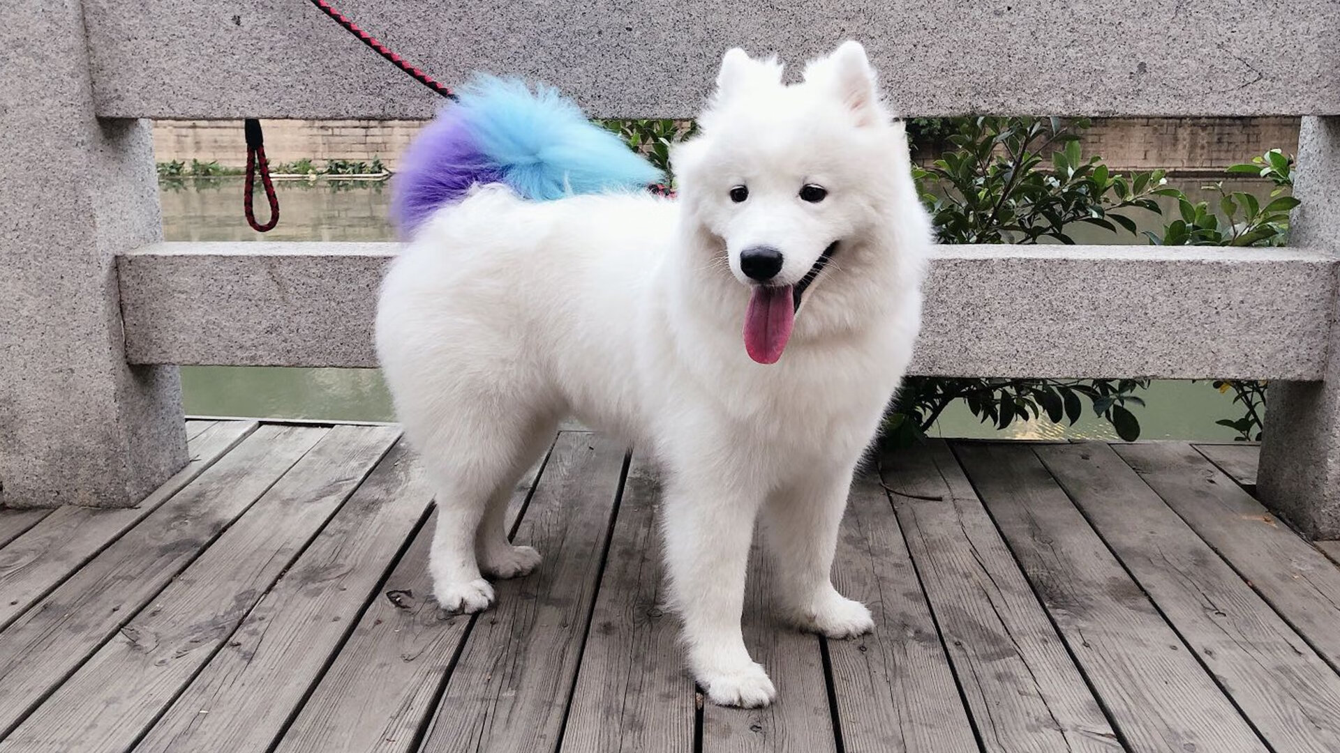 “沙滩赛场热力四射，沙滩手球与合球激烈对决”