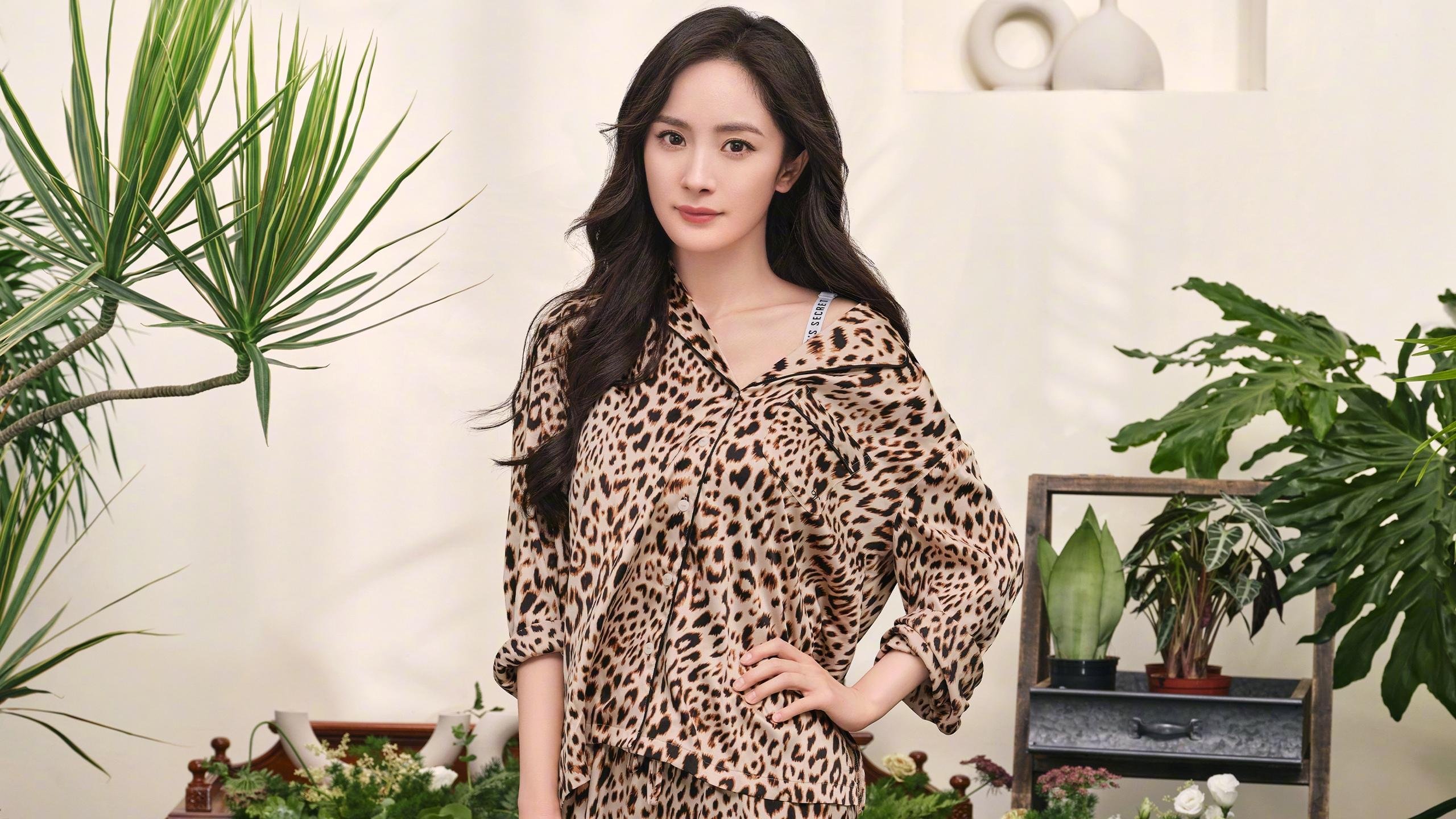 中国乒乓队主力选手伤病调整,备战下赛季,中国乒乓球队主力队员