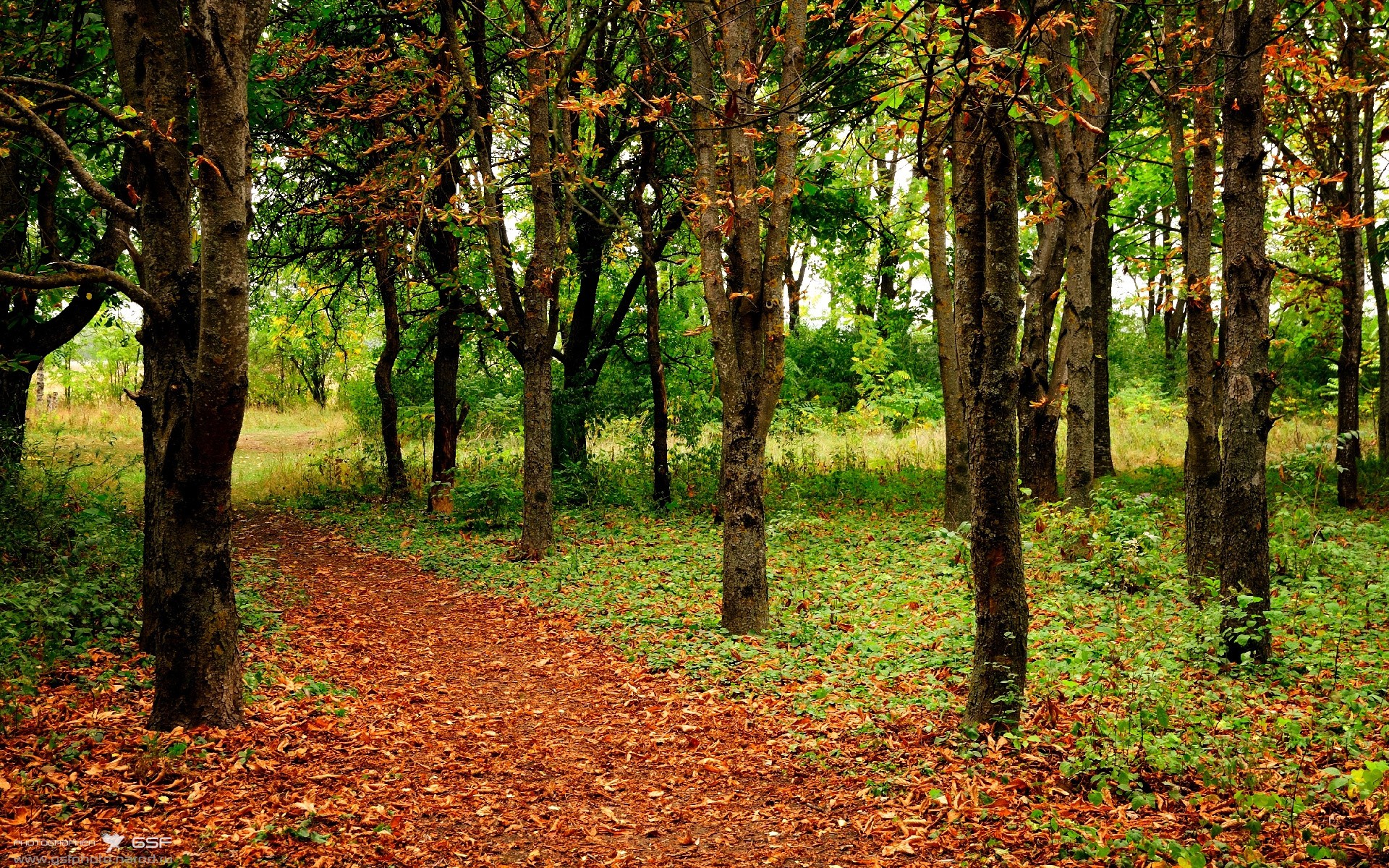 中国足球品牌国际化进程缓慢,中国足球市场化现状