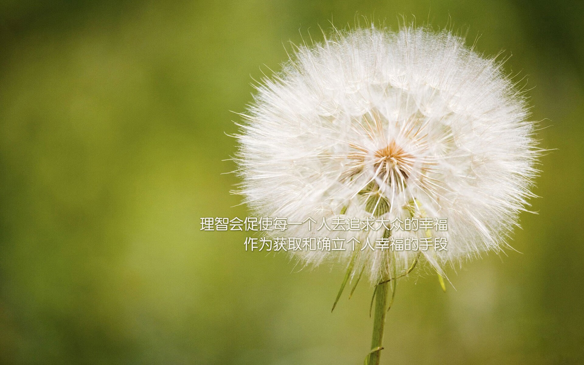 爱游戏官方网站-国家队技战术复盘缺乏系统流程