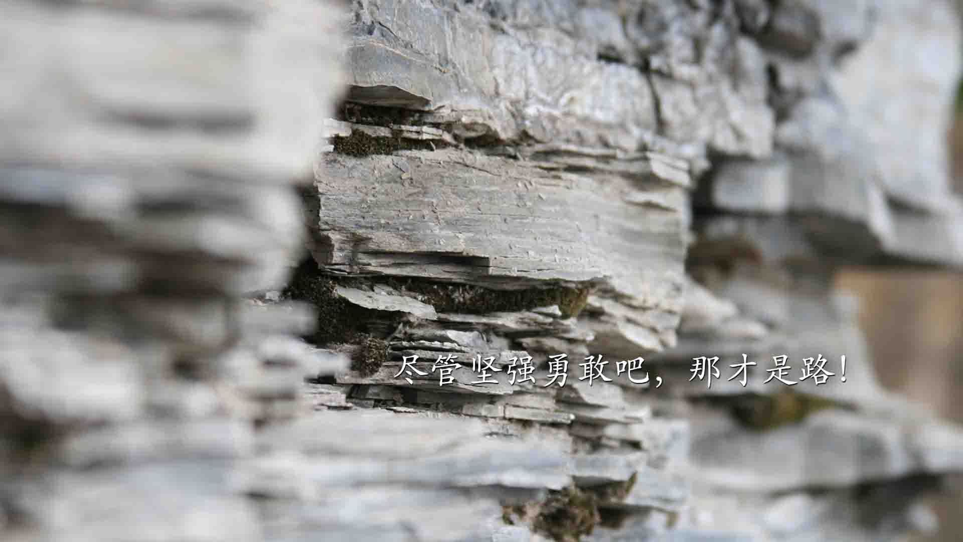 爱游戏平台-帕金斯决赛表现稳中带猛，帕金斯厉害吗