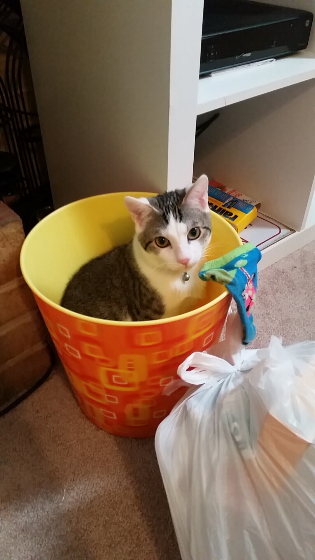 AYX体育-德甲绝招：空中球保球技艺高超，接空中球技术