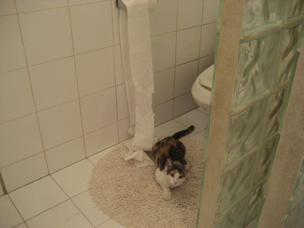 荷兰队在欧洲预赛中持续强势,欧战晋级在望