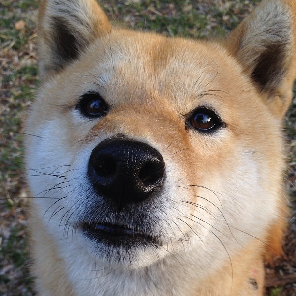 爱游戏 电竞-西甲技艺高超：盘带和远射成比赛亮点