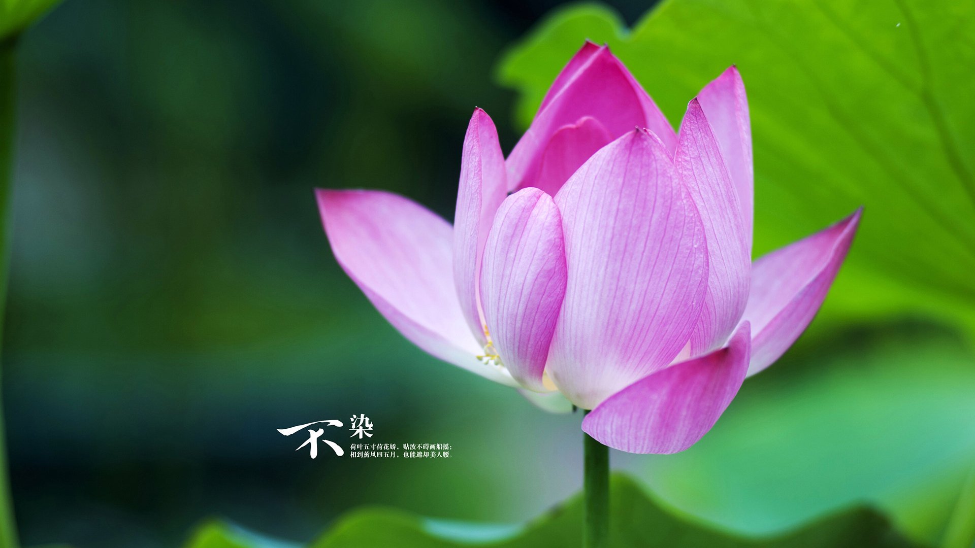 转身动作连贯,推进效率提升,转身技术动作可分为什么和什么